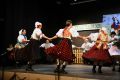 IMG 5566